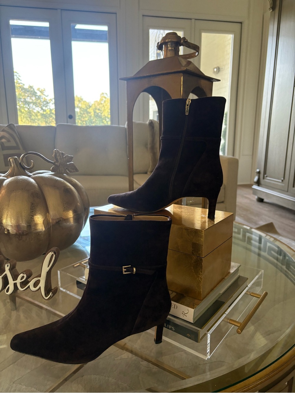 Ann Taylor Chocolate Brown Suede Ankle Booties with Kitten Heel